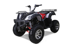 Tao Motor Bull 200S Adult-Sized ATV
