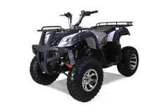 Tao Motor Bull 200S Adult-Sized ATV