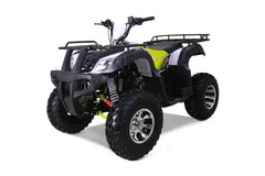 Tao Motor Bull 200S Adult-Sized ATV