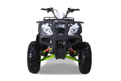 Tao Motor Bull 200S Adult-Sized ATV