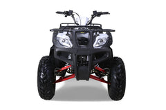 Tao Motor Bull 200S Adult-Sized ATV