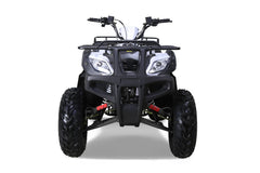 Tao Motor Bull 200S Adult-Sized ATV