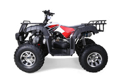 Tao Motor Bull 200S Adult-Sized ATV