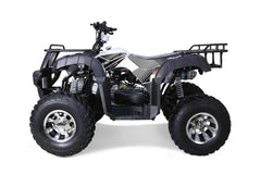 Tao Motor Bull 200S Adult-Sized ATV