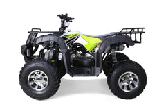 Tao Motor Bull 200S Adult-Sized ATV