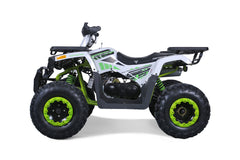 Tao Motor G200 Adult Sized Utility ATV