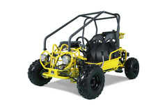 Tao Motor GK110 Youth Go-Kart - 110cc with Remote Shut Off