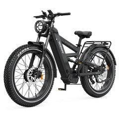 Tesway X9 AWD Electric Mountain Bike with Rear Rack 4000W Dual Motors
