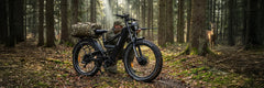 Tesway X9 AWD Electric Mountain Bike with Rear Rack 4000W Dual Motors
