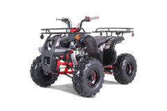 Tao Motor TForce Youth ATV (T125)