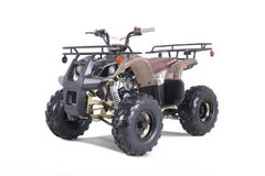 Tao Motor TForce Youth ATV (T125)