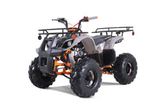 Tao Motor TForce Youth ATV (T125)
