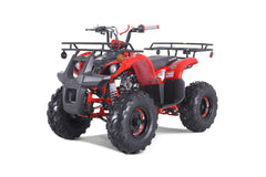 Tao Motor TForce Youth ATV (T125)