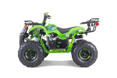 Tao Motor TForce Youth ATV (T125)