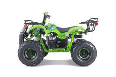 Tao Motor TForce Youth ATV (T125)