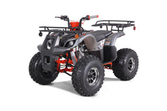 Tao Motor T-Force Platinum ATV - Mid-Size Youth ATV 120cc