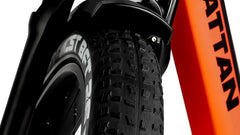 Rattan Pathfinder 750W Step-Over Fat Tire Electric Bike