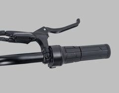 Marsant's X Ant6 Long Range 20" x 4" Fat Tire Pedal Assist Ebike