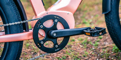 Eunorau META24 1.0 Electric Bike