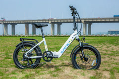 Eunorau META20 1.0 Electric Bike