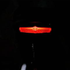 Tracer Verge 20" x 4.0 Wheel 800W Fat Electric Motorbike