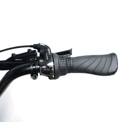 Tracer Verge 20" x 4.0 Wheel 800W Fat Electric Motorbike