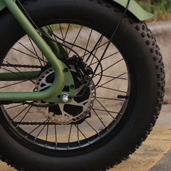Tracer Verge 20" x 4.0 Wheel 800W Fat Electric Motorbike