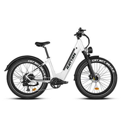Rattan Pathfinder ST 750W Electric Bike