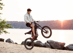 Freego X2 Dirt Master Off-Road Electric Bike