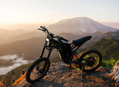 Freego X2 Dirt Master Off-Road Electric Bike