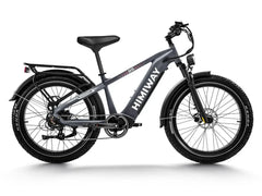 Himiway D5(Zebra) / All-terrain Electric Fat Bike