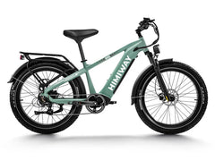 Himiway D5(Zebra) / All-terrain Electric Fat Bike