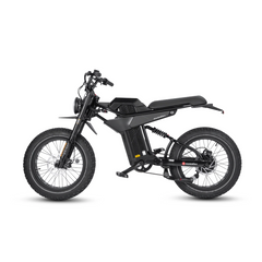 Marsant's X Ant6 Long Range 20" x 4" Fat Tire Pedal Assist Ebike