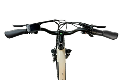 Dirwin Pioneer Lite 750W Hunting Electric Bike