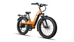 Bee Pathfinder Step-Thru Full Suspension Long Range Electric Bike