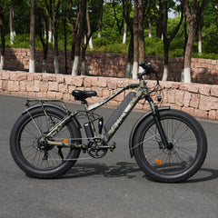 Bee Adventurer Soft Tail Long Range Electric Bike
