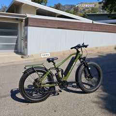 Bee Adventurer Soft Tail Long Range Electric Bike
