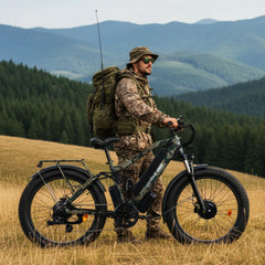 Bee Adventurer X2 Soft Tail Dual Motors Electric Bike
