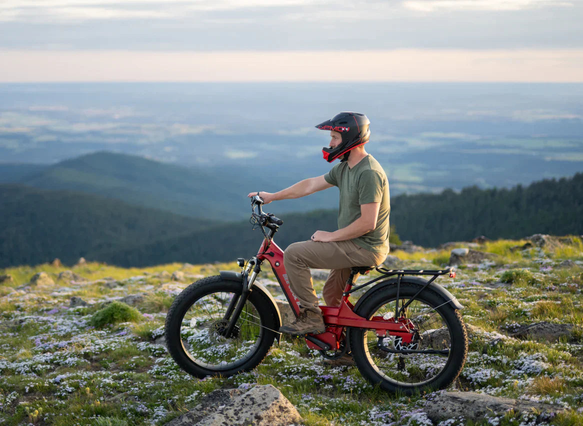 Bee Pathfinder Step-Thru Full Suspension Long Range Electric Bike