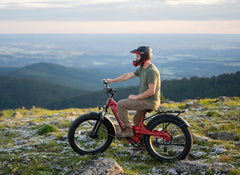 Bee Pathfinder Step-Thru Full Suspension Long Range Electric Bike