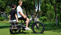 Bee Runner Long-Tail Cargo Electric Bike