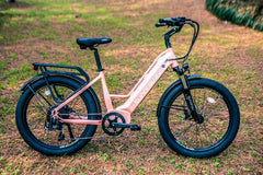 Eunorau META24 1.0 Electric Bike