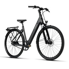 TENWAYS CGO800S Electric Bike