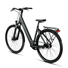 TENWAYS CGO800S Electric Bike