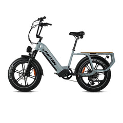 Rattan Quercus Fat Tire 750W Electric Bike