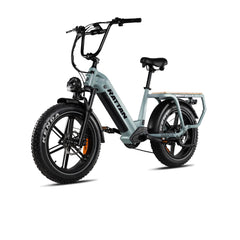 Rattan Quercus Fat Tire 750W Electric Bike