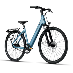 TENWAYS CGO800S Electric Bike