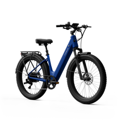 TENWAYS Wayfarer 750W Electric Bike