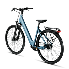 TENWAYS CGO800S Electric Bike