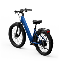 TENWAYS Wayfarer 750W Electric Bike